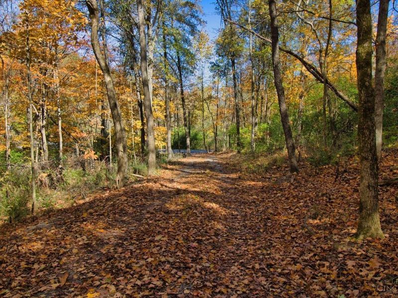 7167 Goshen Road, Goshen Twp, OH 45122 Photo 24