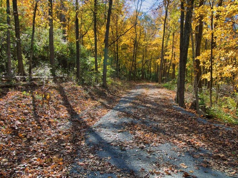 7167 Goshen Road, Goshen Twp, OH 45122 Photo 27