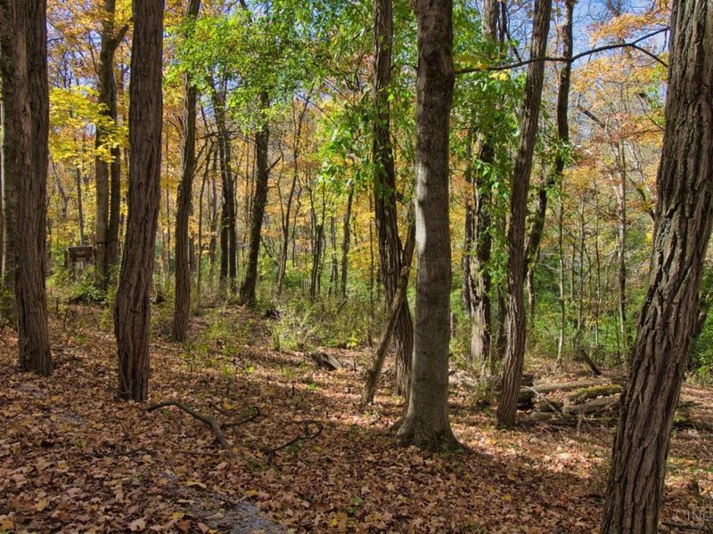 7167 Goshen Road, Goshen Twp, OH 45122 Photo 28