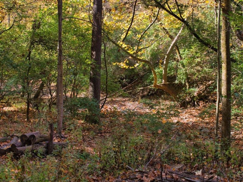 7167 Goshen Road, Goshen Twp, OH 45122 Photo 31