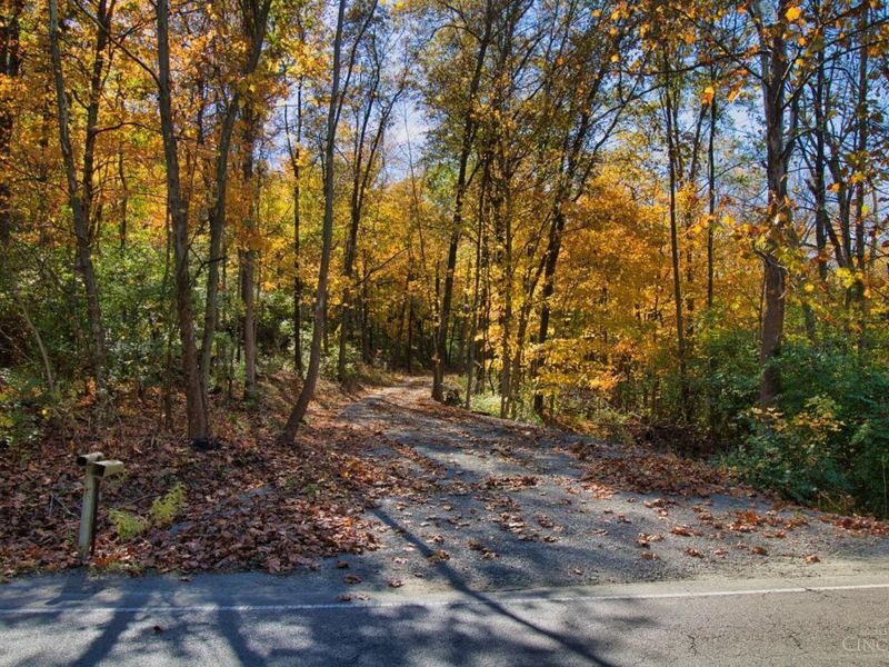 7167 Goshen Road, Goshen Twp, OH 45122 Photo 4