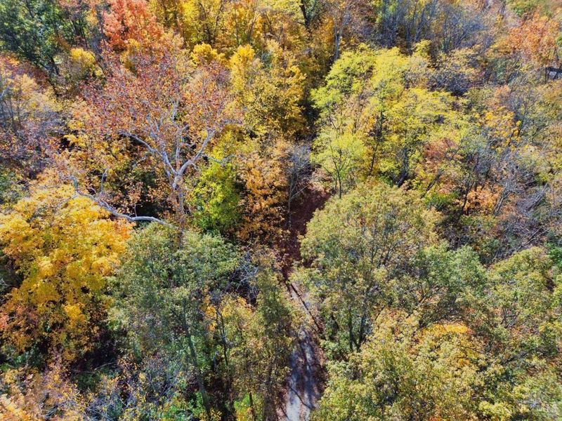 7167 Goshen Road, Goshen Twp, OH 45122 Photo 9