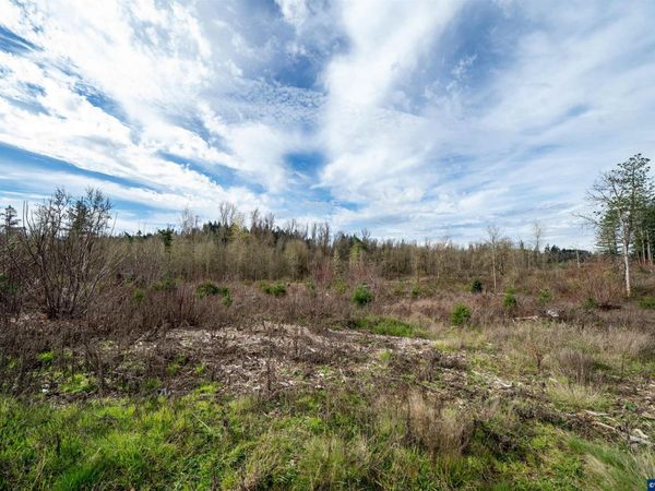 TL#0923670 Shilling (LOT 5) Dr, Scio, OR 97374