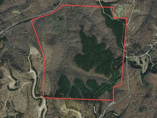 Davis Rd, Sunbright, TN 37872