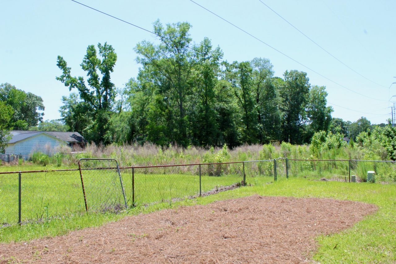 7774 Ginger Lane Photo 43