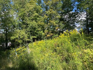 19.221 Turnpike Road, East Meredith, NY 13757