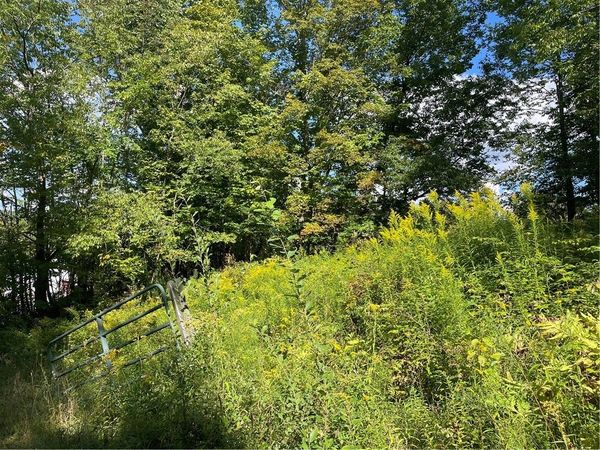 19.221 Turnpike Road, East Meredith, NY 13757