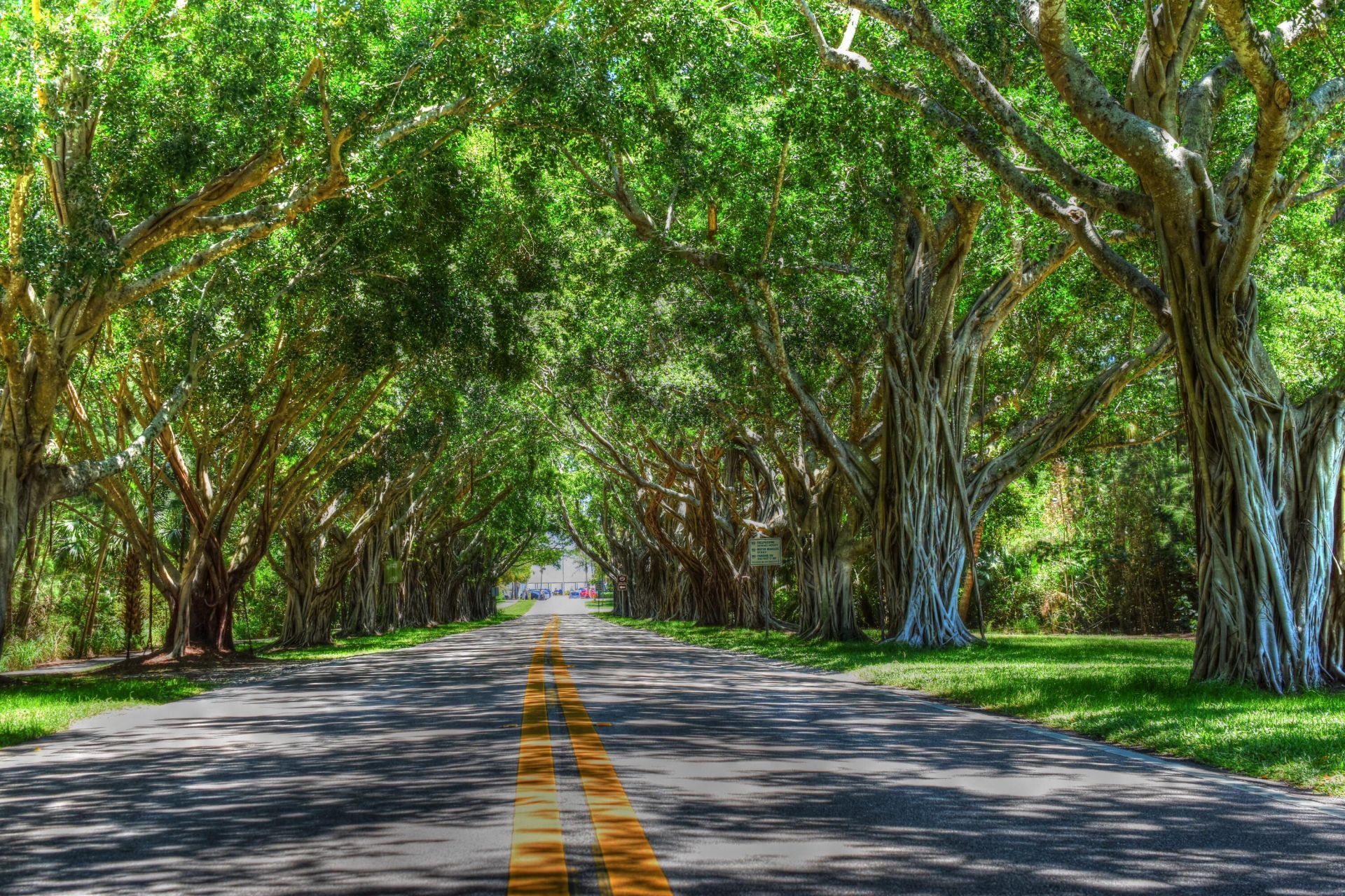 206 Botanica Drive, Jupiter, FL 33458 Photo