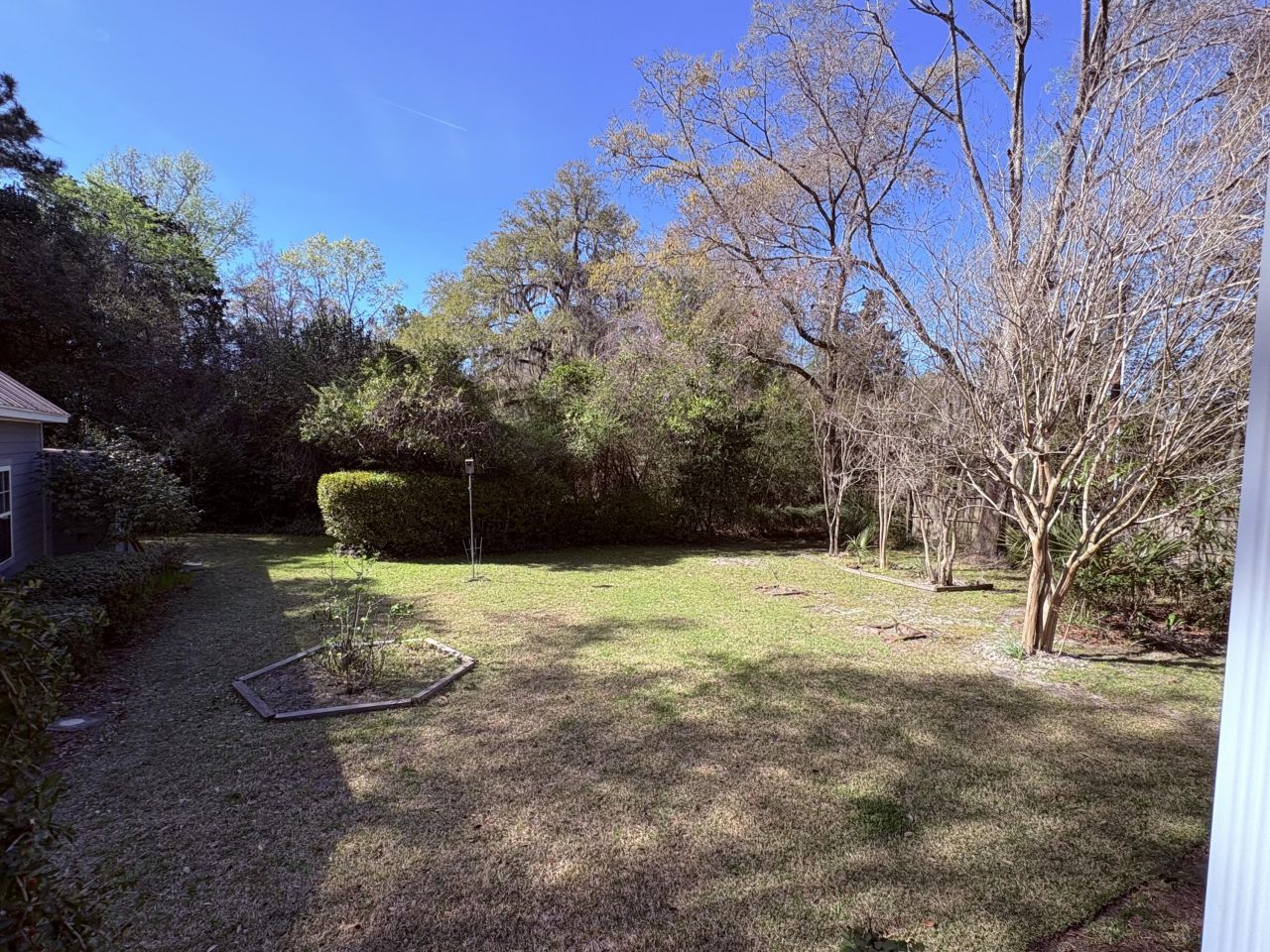 102 S Palmetto Street Photo 22