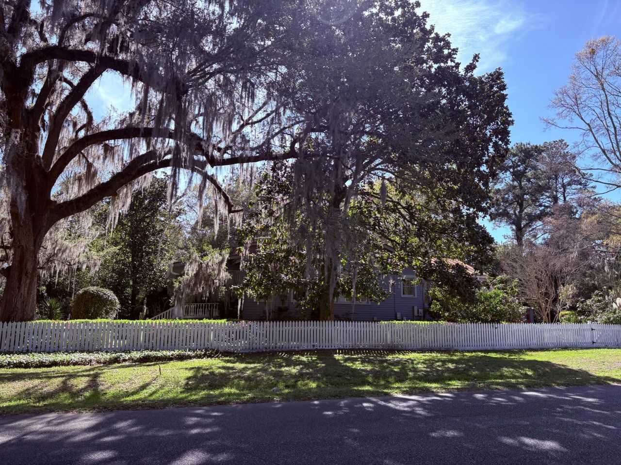 102 S Palmetto Street Photo 25