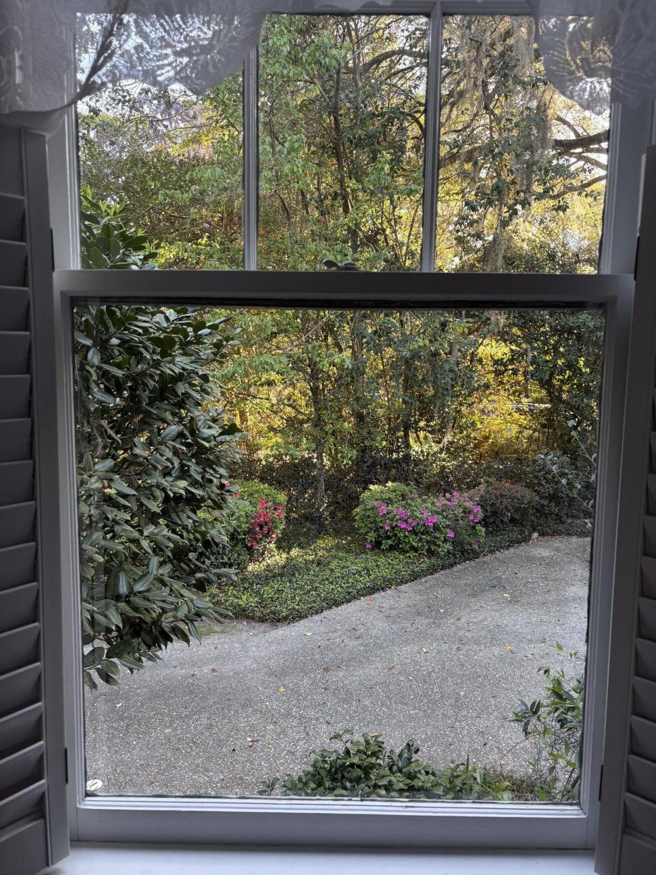 102 S Palmetto Street Photo 38