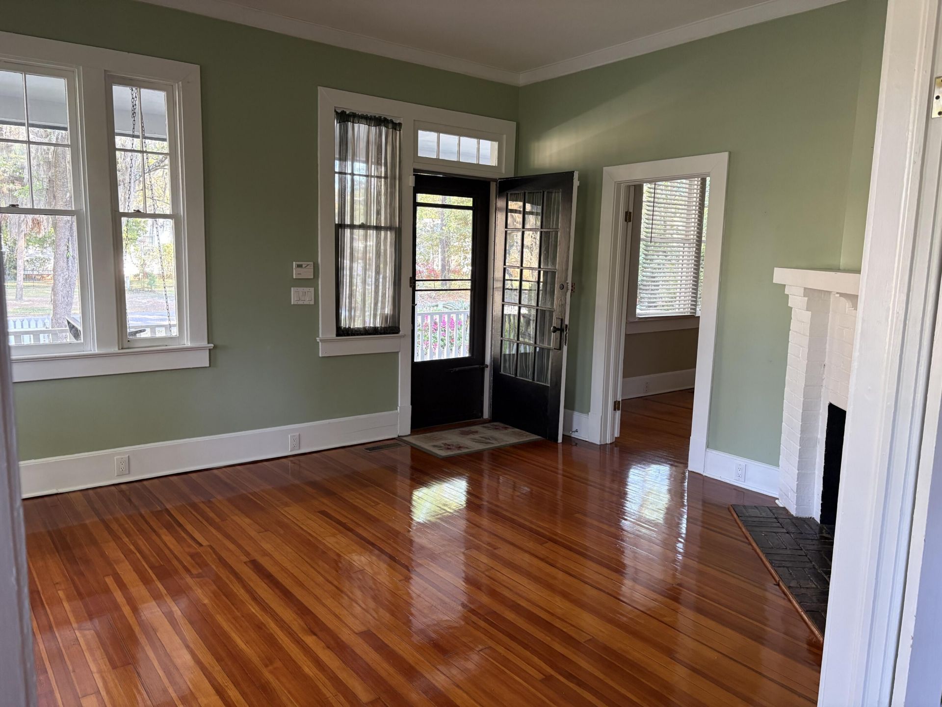 102 S Palmetto Street Photo 39