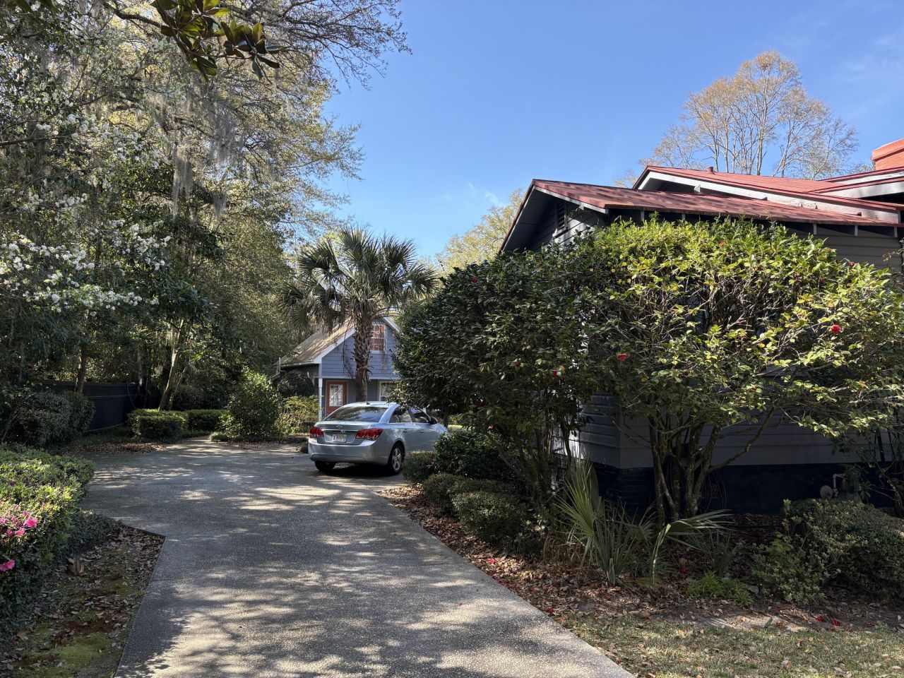 102 S Palmetto Street Photo 7