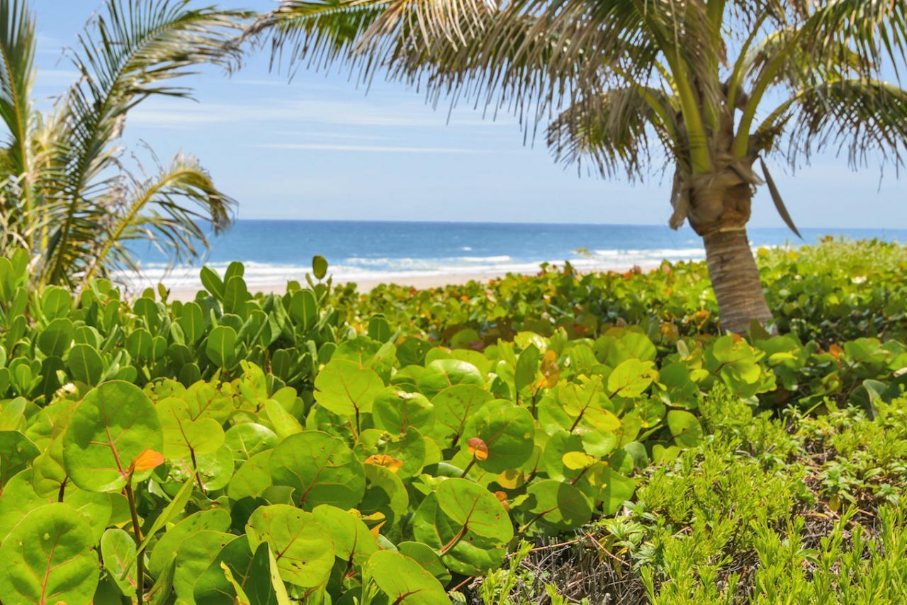 500 S Ocean Boulevard, Unit 309, Boca Raton, FL 33432 Photo