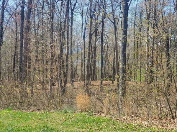 Lot 136 Tumbleweed Trail, Rutledge, TN 37861
