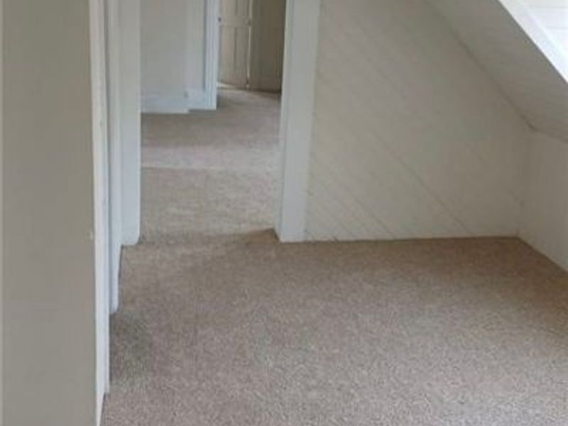 1234 E 61st Street, Cleveland, OH 44103 Photo 16