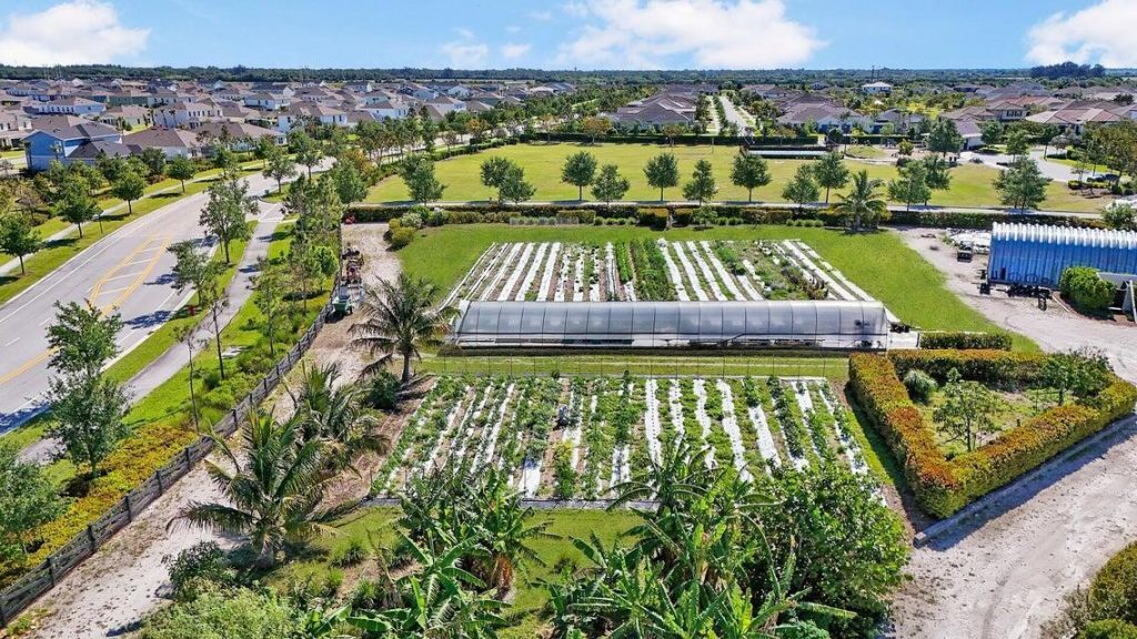 732 Hookline Circle, Loxahatchee, FL 33470 Photo