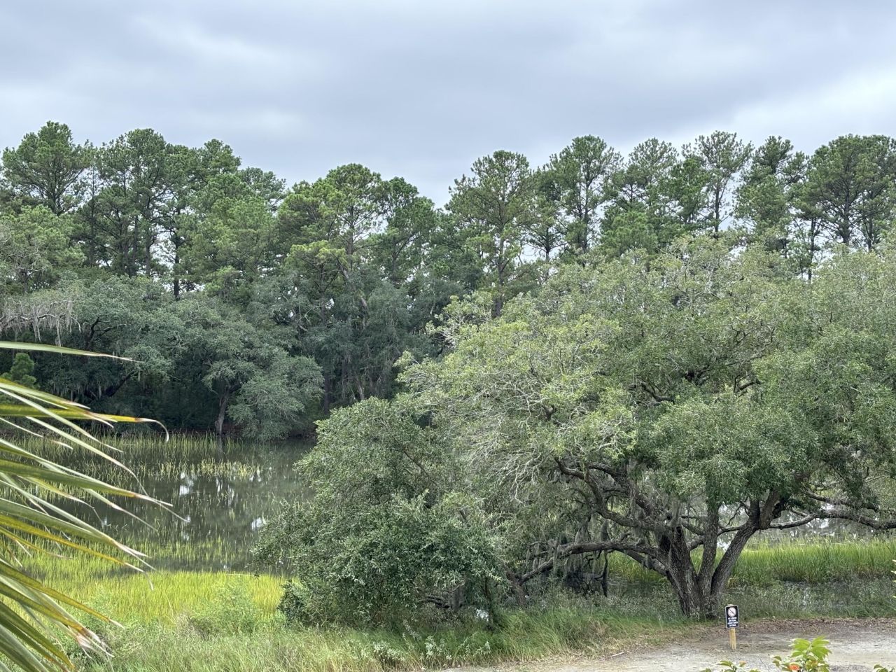 320 Longshore Street Photo 15