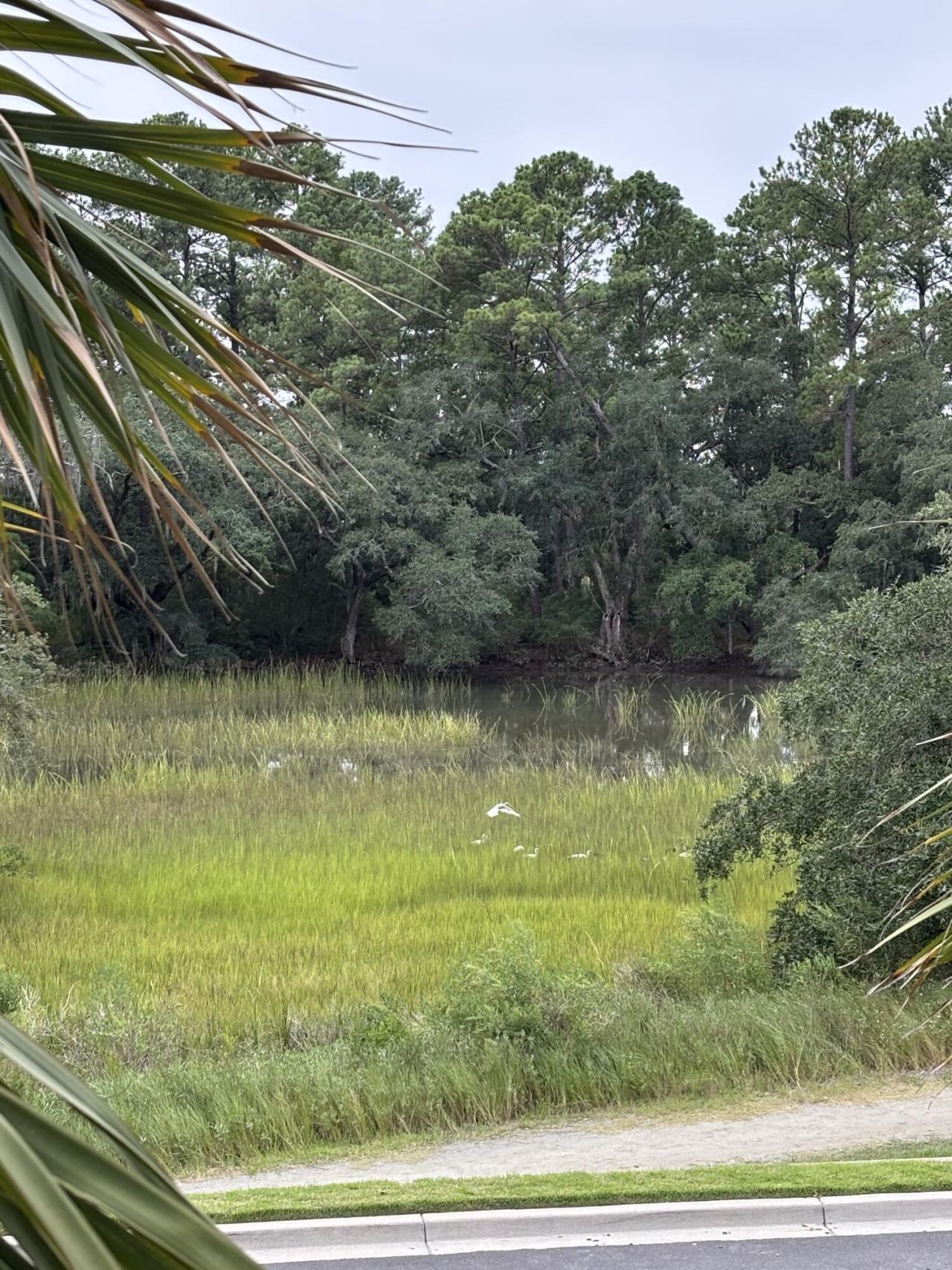 320 Longshore Street Photo 24