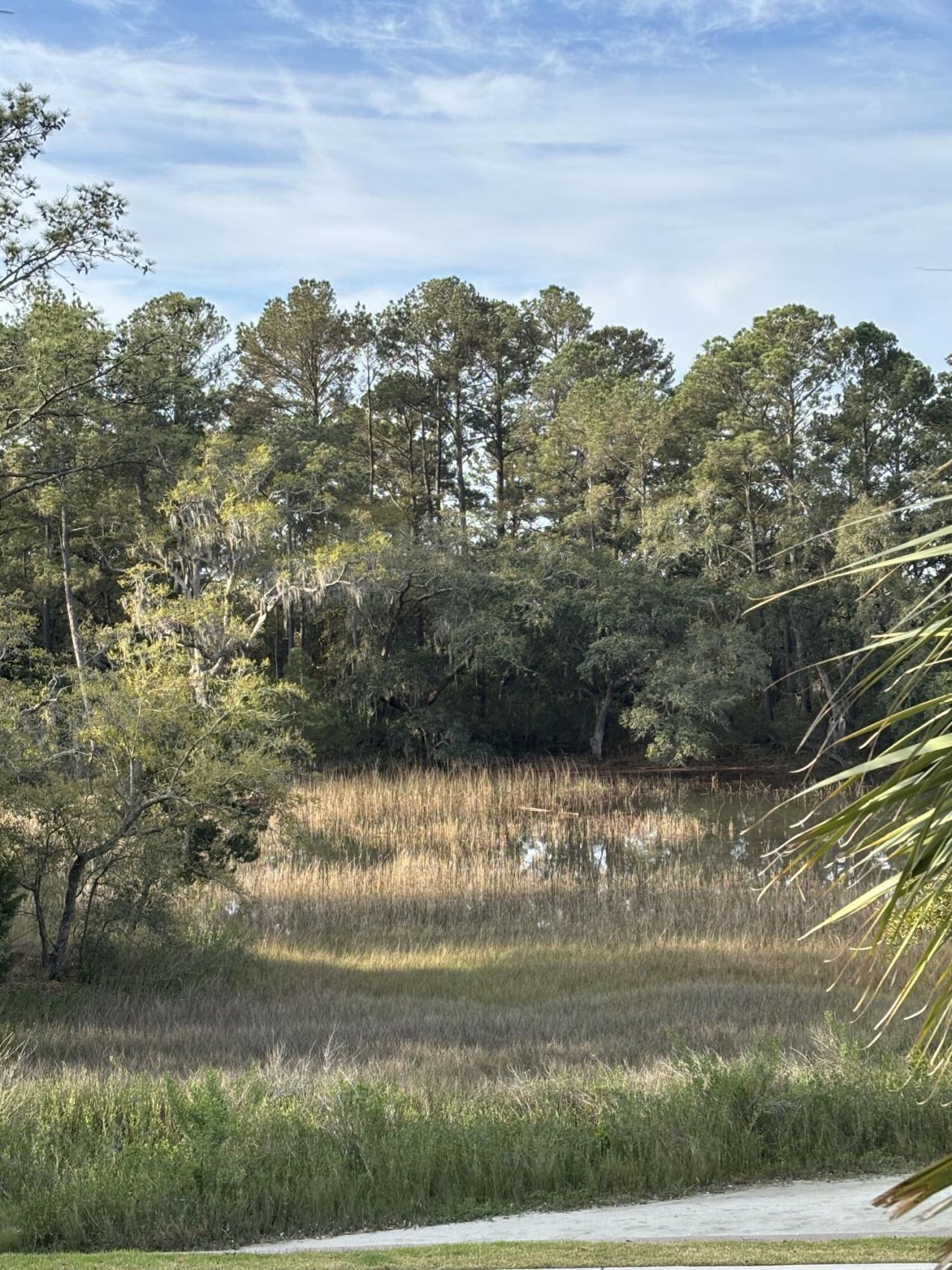 320 Longshore Street Photo 27