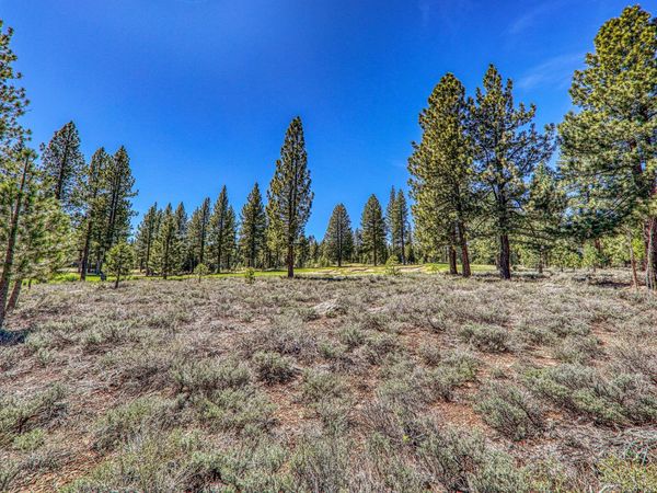 9364 Heartwood Drive, Truckee, CA 96161