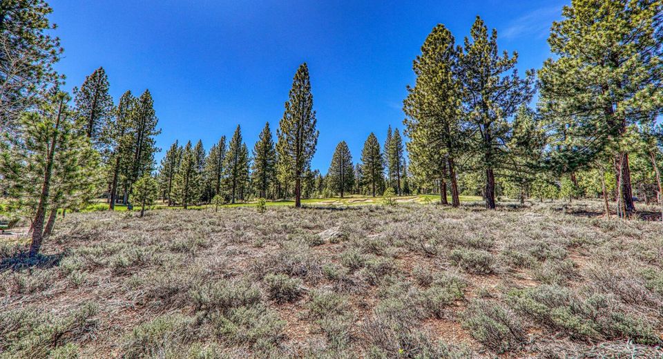 9364 Heartwood Drive, Truckee, CA 96161 Photo