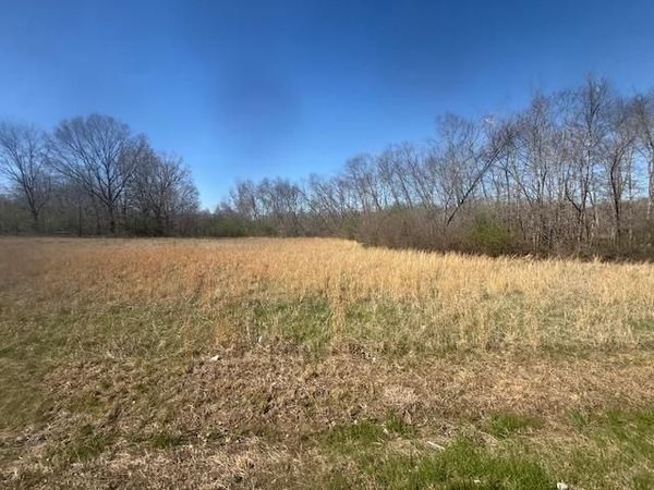 TRACT 3 HWY 22A HWY, Jacks Creek, TN 38347