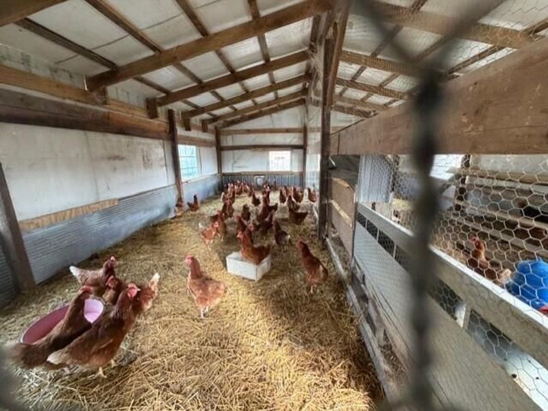 380 Flag Dale Road S, Junction City, OH 43748 Photo 7