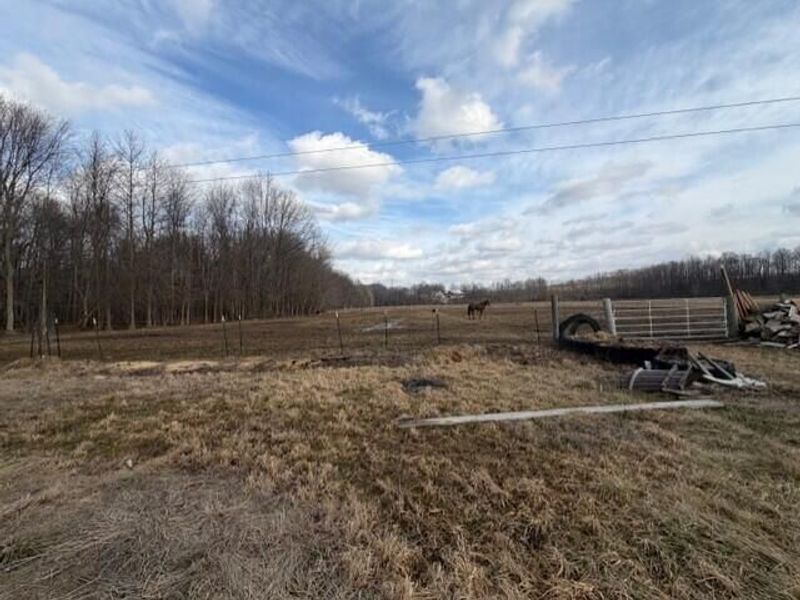 380 Flag Dale Road S, Junction City, OH 43748 Photo 8