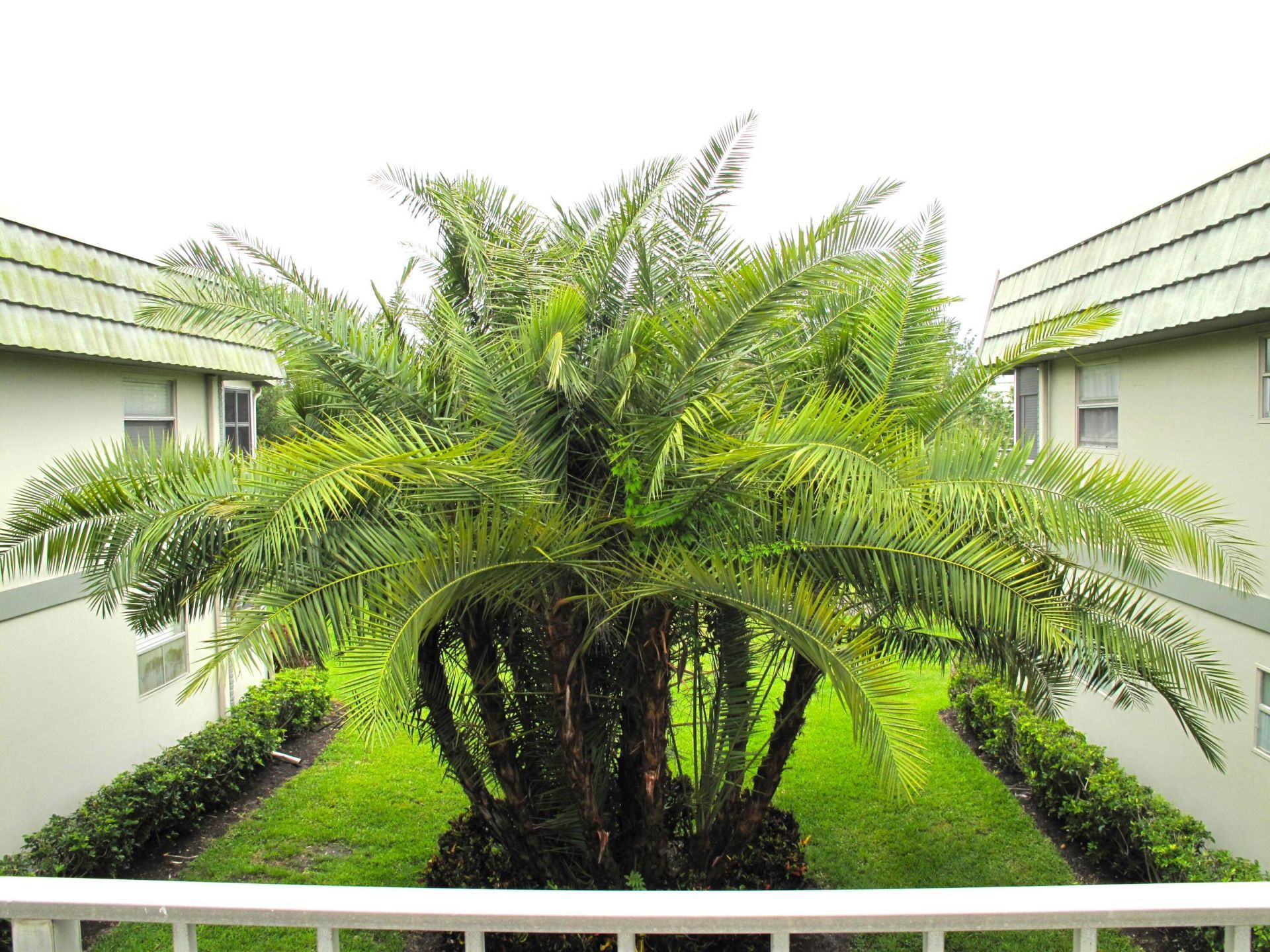 376 Flanders, Unit H, Delray Beach, FL 33484 Photo