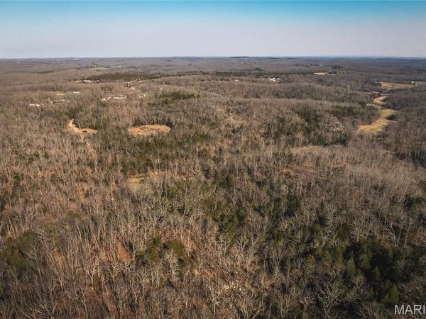 000 Hollingshead , Leasburg, MO 65453