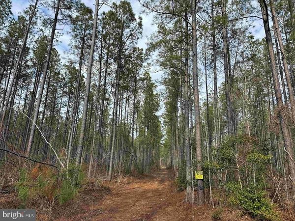 DOGWOOD DRIVE (TRACT: TANAGER ET2-2006), FARNHAM, VA 22460
