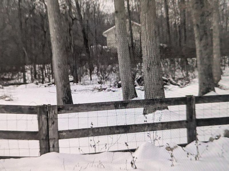 10891 Pleasant Renner Road, Harlan Twp, OH 45122 Photo 48