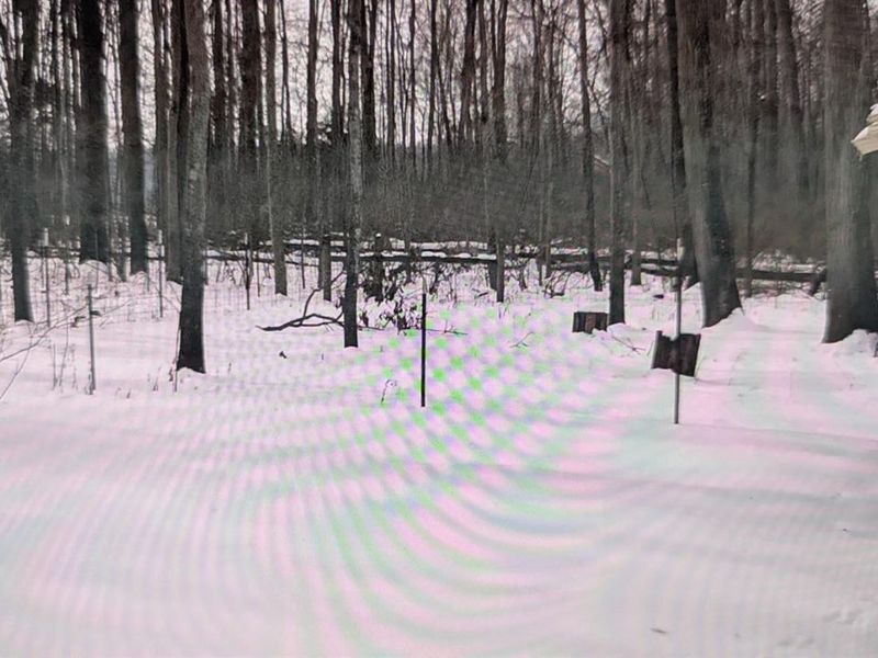 10891 Pleasant Renner Road, Harlan Twp, OH 45122 Photo 64