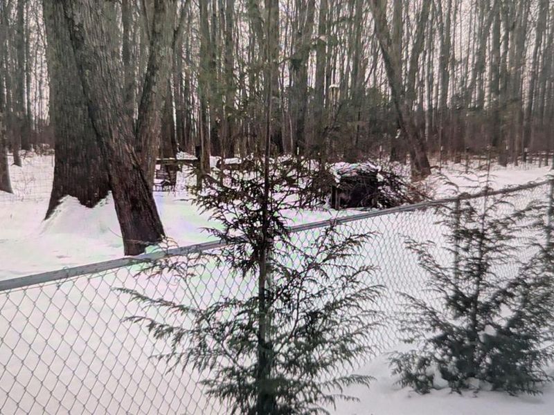 10891 Pleasant Renner Road, Harlan Twp, OH 45122 Photo 65