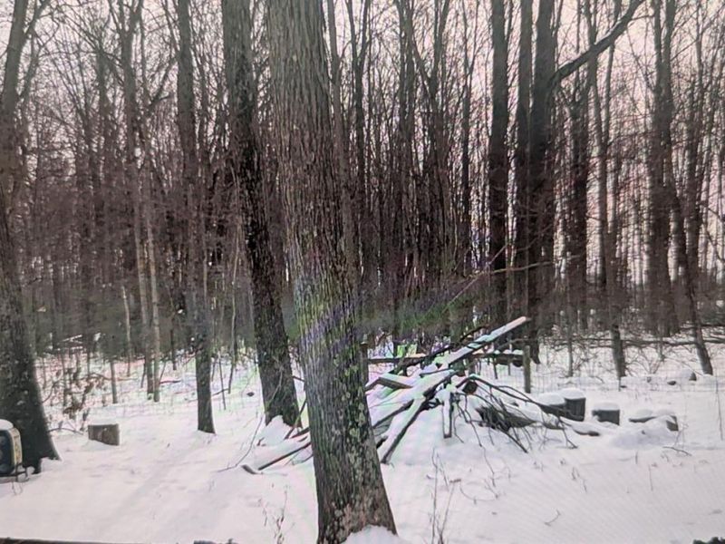 10891 Pleasant Renner Road, Harlan Twp, OH 45122 Photo 67