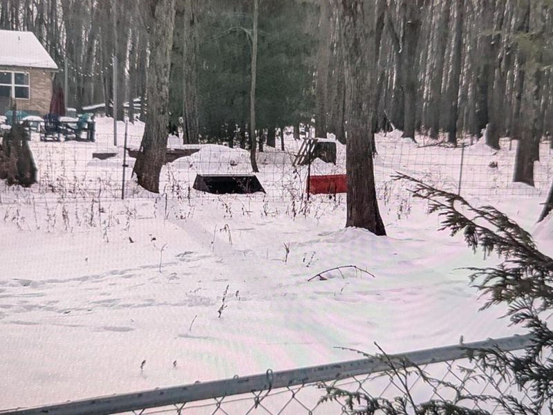 10891 Pleasant Renner Road, Harlan Twp, OH 45122 Photo 69