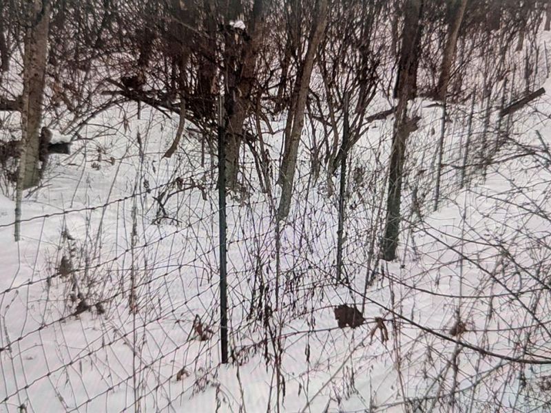 10891 Pleasant Renner Road, Harlan Twp, OH 45122 Photo 72