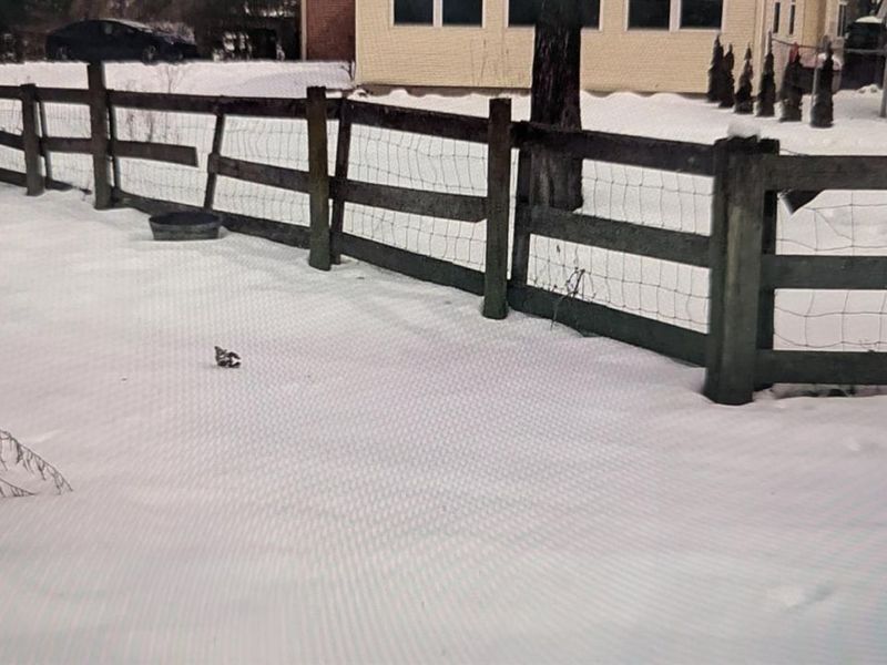 10891 Pleasant Renner Road, Harlan Twp, OH 45122 Photo 73