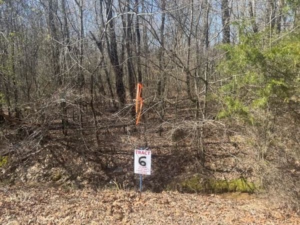 TRACT 6 HWY 22A HWY, Jacks Creek, TN 38347