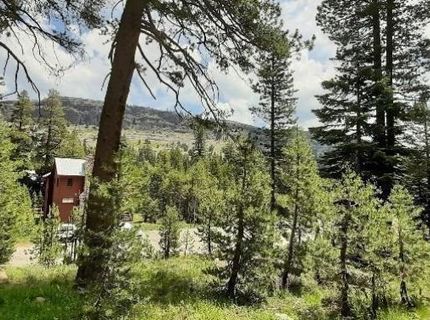 33839 Hawkweed Way, Kirkwood, CA 95646 Photo