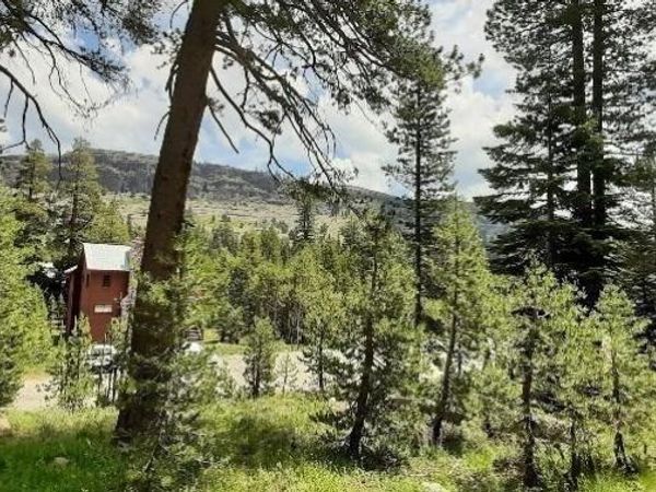 33839 Hawkweed Way, Kirkwood, CA 95646