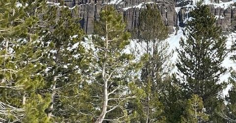 33839 Hawkweed Way, Kirkwood, CA 95646 Photo