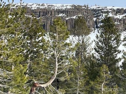 33839 Hawkweed Way, Kirkwood, CA 95646 Photo