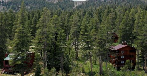 33839 Hawkweed Way, Kirkwood, CA 95646 Photo