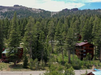 33839 Hawkweed Way, Kirkwood, CA 95646 Photo