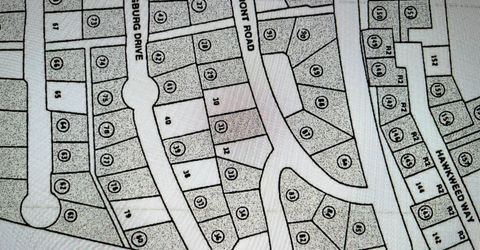 33839 Hawkweed Way, Kirkwood, CA 95646 Photo