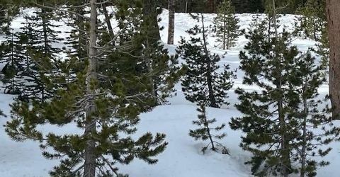 33839 Hawkweed Way, Kirkwood, CA 95646 Photo