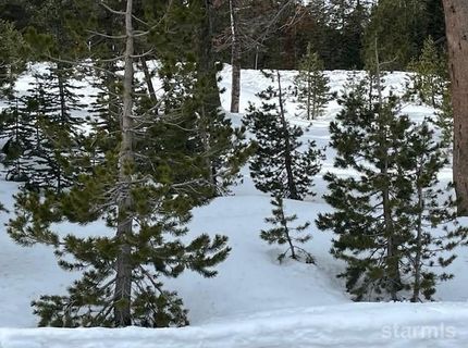 33839 Hawkweed Way, Kirkwood, CA 95646 Photo