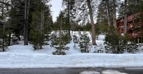 33839 Hawkweed Way, Kirkwood, CA 95646 Photo